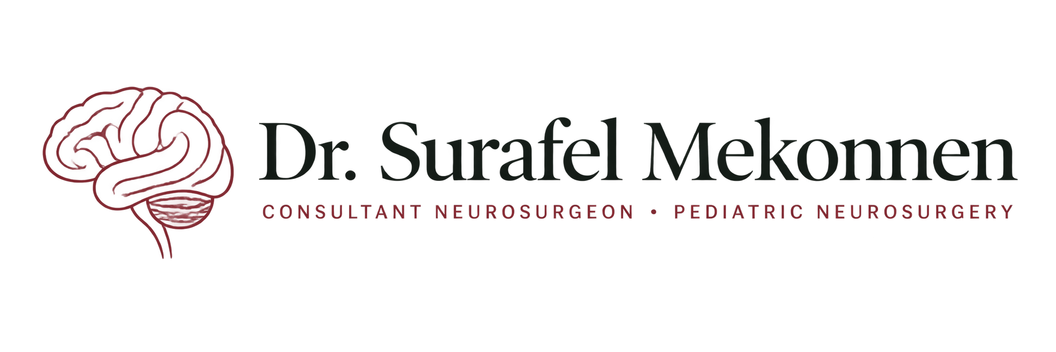 Dr. Surafel Mekonnen Mendere